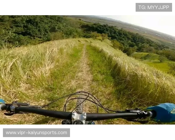 特色自行车越野赛,森林深处的速度较量,专业越野自行车特技,视频